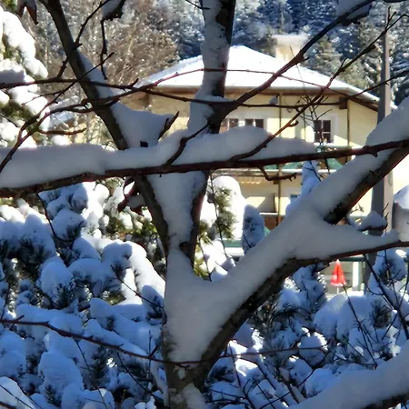 Appartement Bergsee Sun - Am Wildsee - Atemberaubende Aussicht Seefeld in Tirol Exterior photo