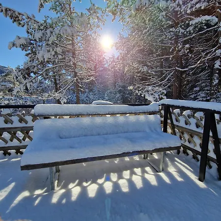 Appartement Bergsee Sun - Am Wildsee - Atemberaubende Aussicht Seefeld in Tirol Exterior photo