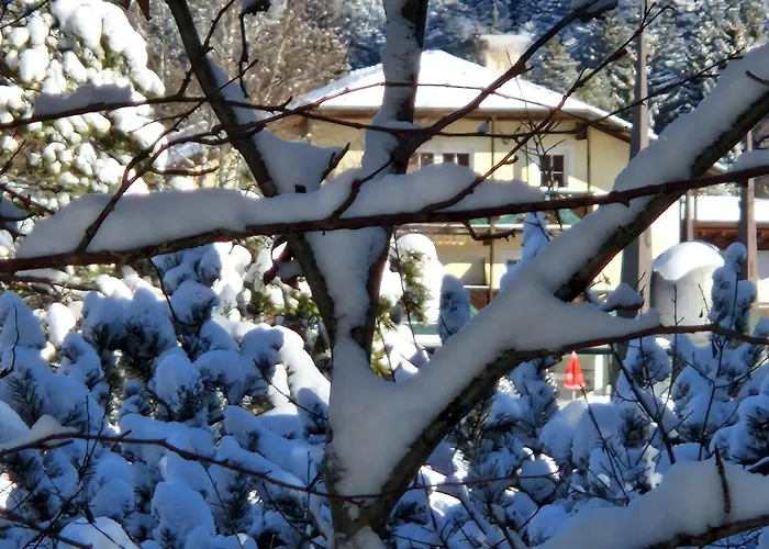 Appartement Bergsee Sun - Am Wildsee - Atemberaubende Aussicht